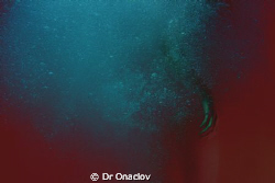onacloV is a visual artist, trained at the ANU School of ... by Dr Onaclov 